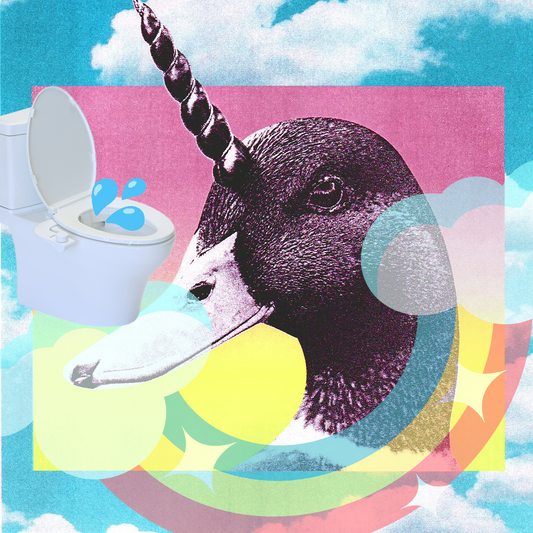 7 Reasons Why You Need a Bidet Attachment (And One of Them Involves Unicorns)